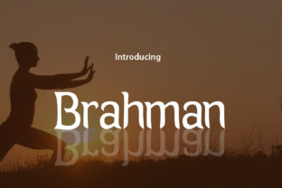 Brahman Font: Classy Script for Creative Campaigns