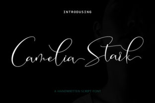 Camelia Stark Font Review