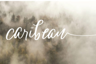 Caribean Font: Elegant Script for Business Branding
