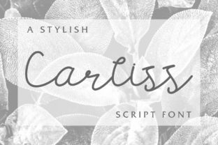 Carllis Font: Handwritten Script for Web Design