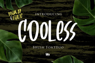 Cooless Font for Web Design
