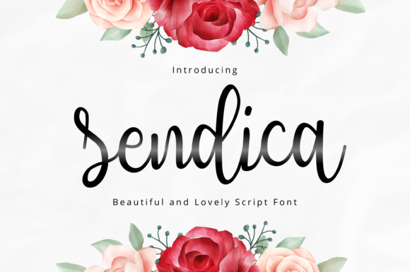 Sendica Font for Web Design