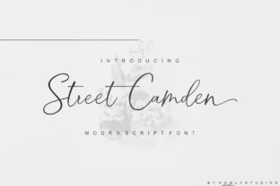 Street Camden: A Font for Impactful Campaigns