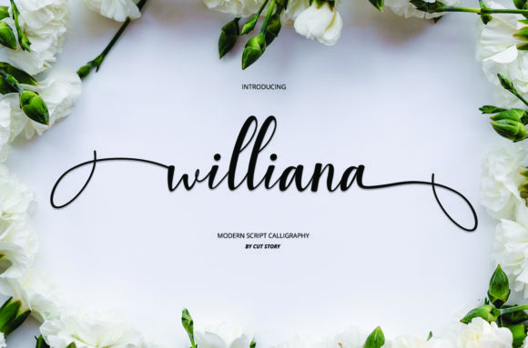 Williana Font for Professional Branding